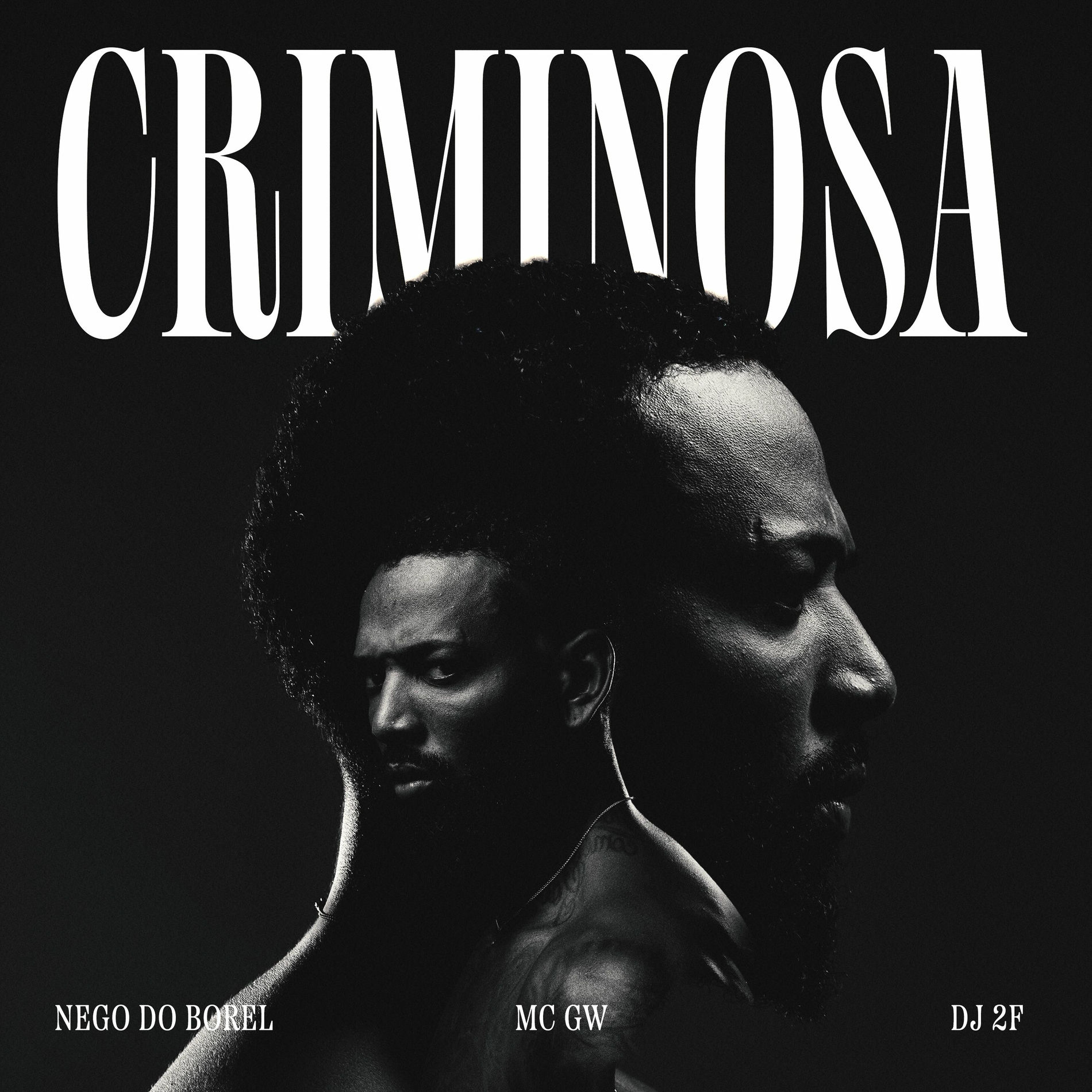 Album cover of Criminosa