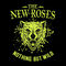 Glory Road by The New Roses album cover