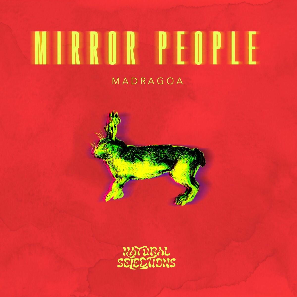 Album cover of Madragoa
