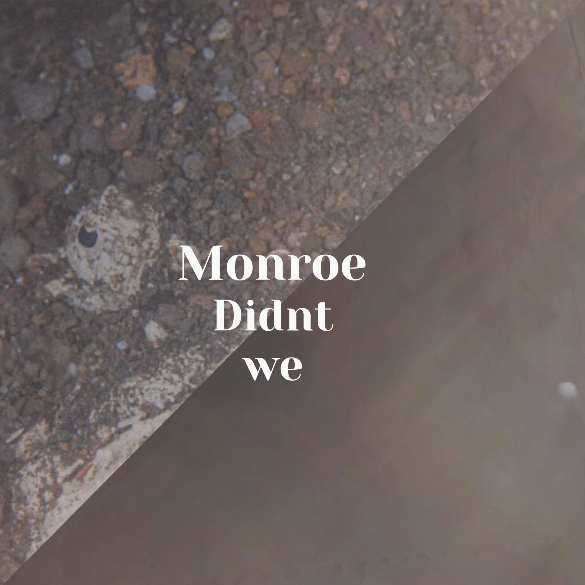 Album cover of Monroe Didnt we