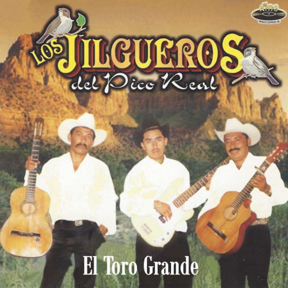 Picture of El Toro Grande