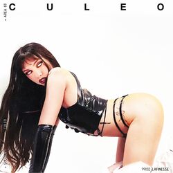 Cover of CULEO