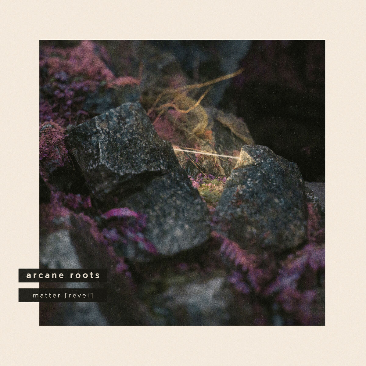 Album cover of Matter (Revel)