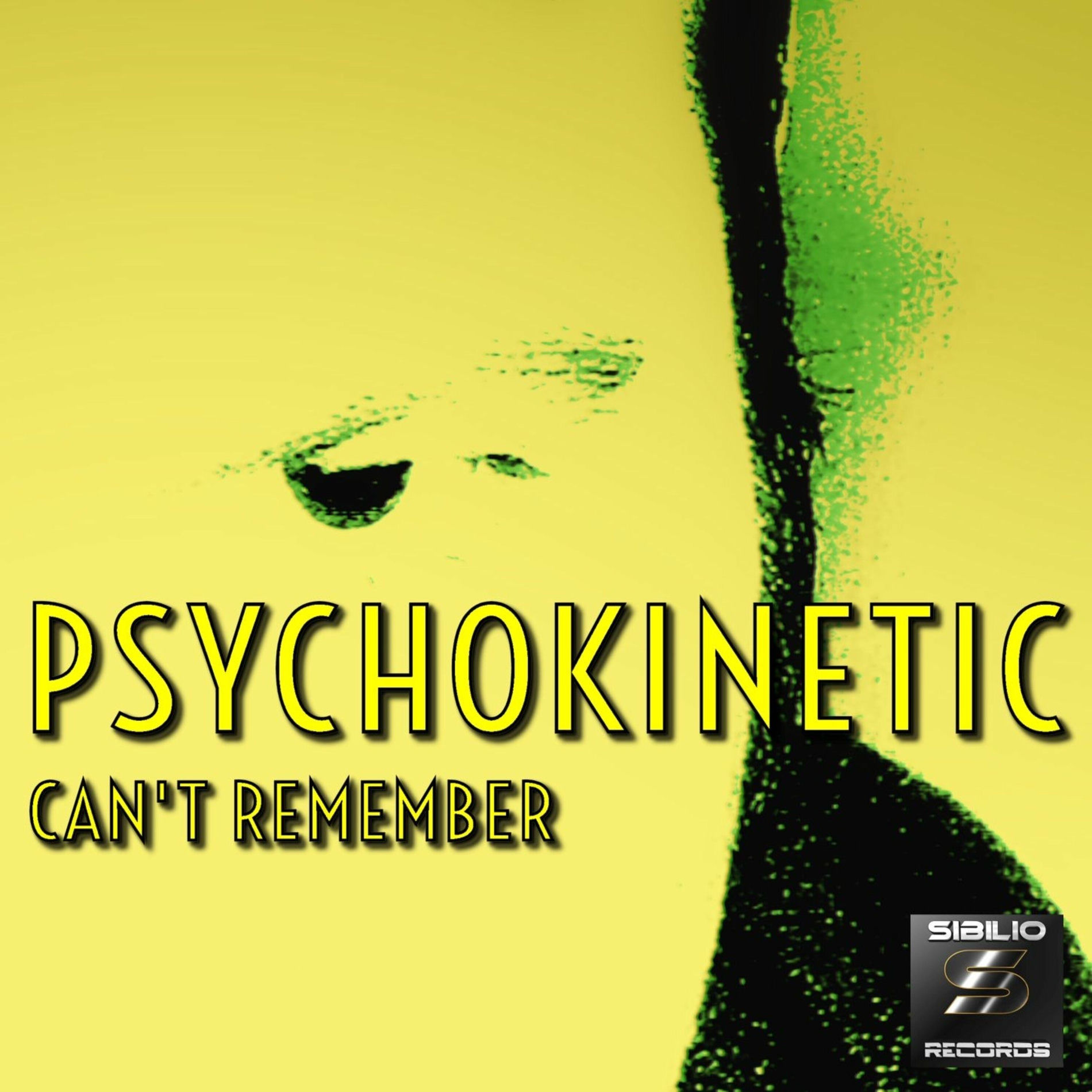 Album cover of Can't Remember