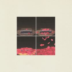 Cover of Hundred Fifty Roses