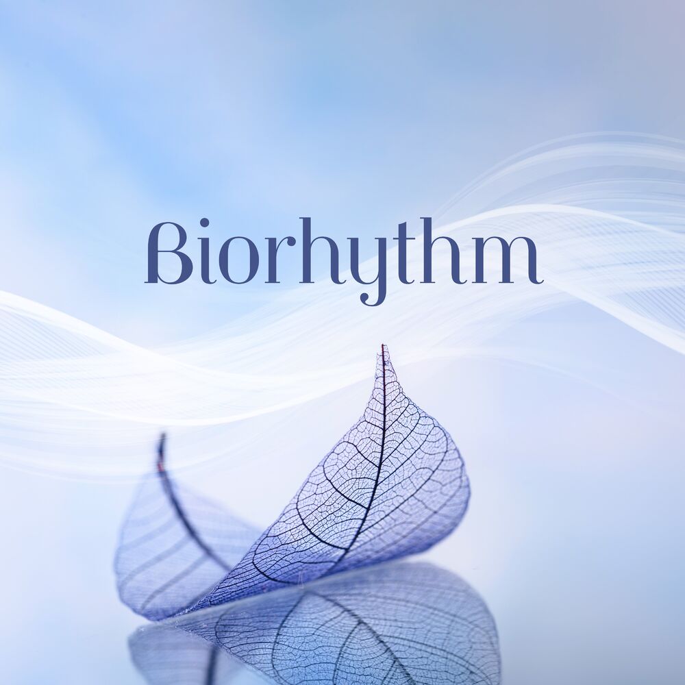 Picture of Biorhythm: Harmonizing Nature and Drumming for Meditation, Yoga, Relaxation