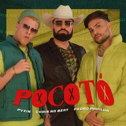 Cover of Pocotó