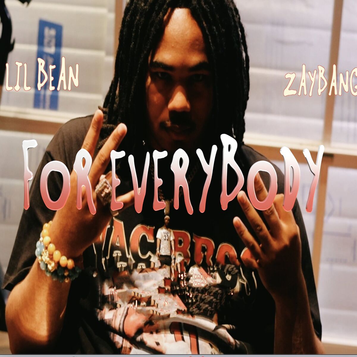 Album cover of For Everybody