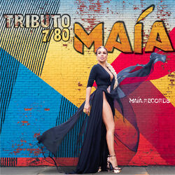 Cover of Tributo 7 / 80