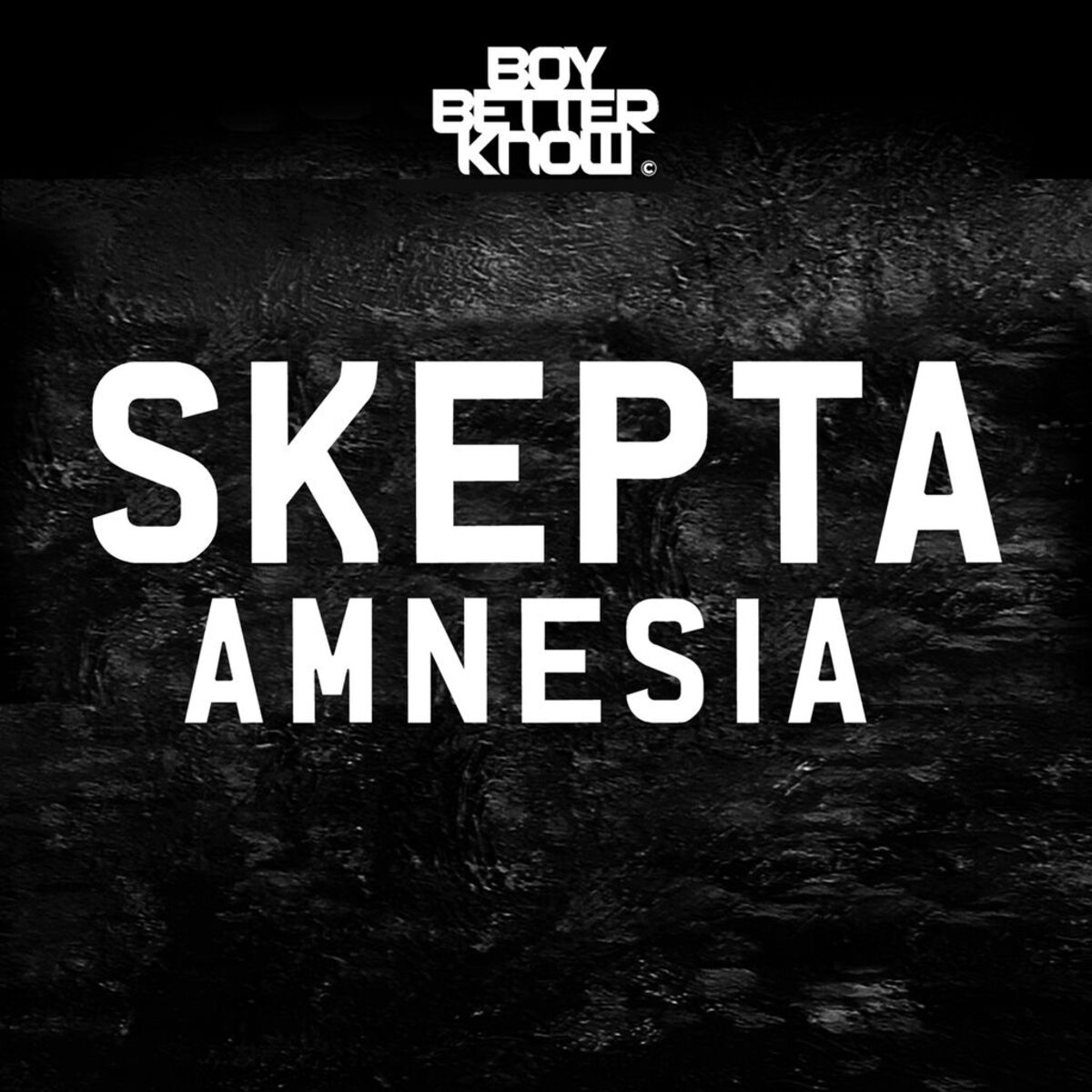 Album cover of Amnesia