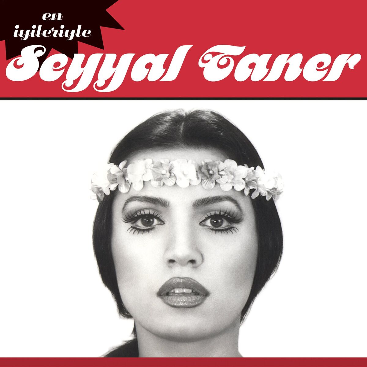 Album cover of En İyileriyle Seyyal Taner