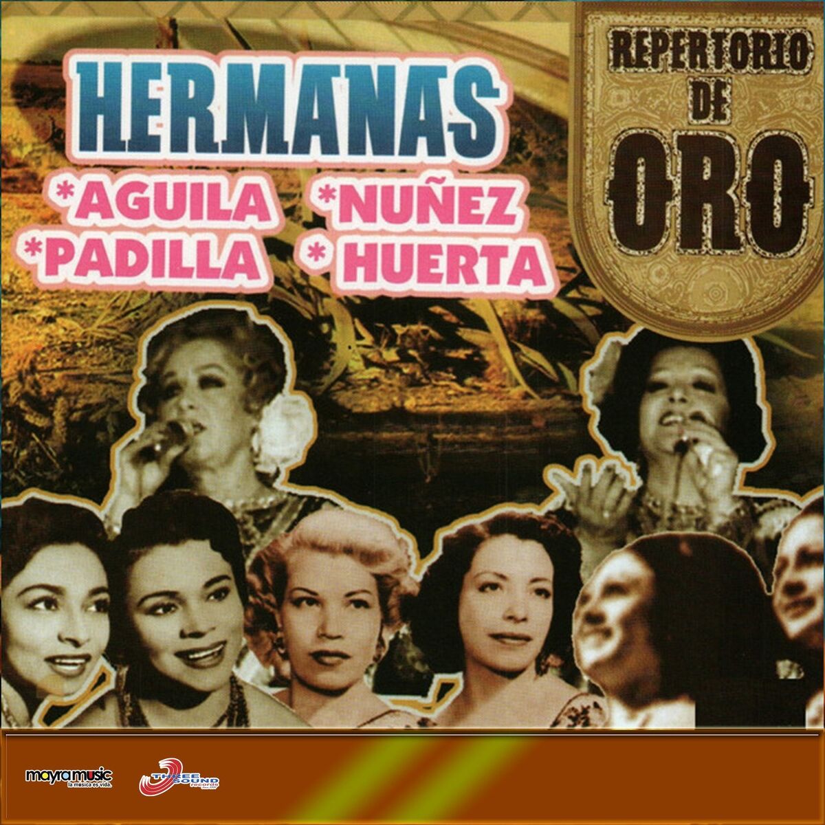 Album cover of Repertorio De Oro