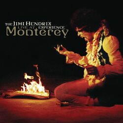 Cover of Live At Monterey