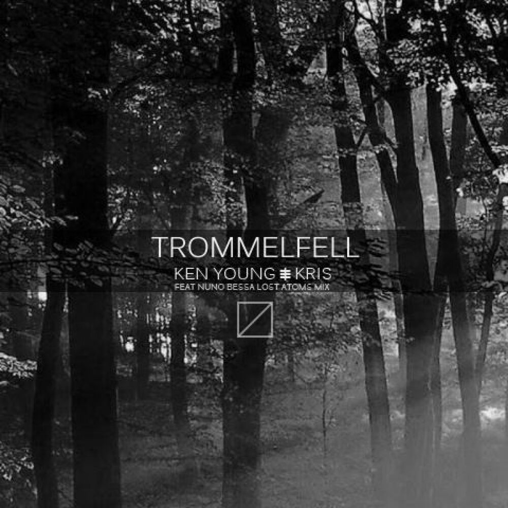 Picture of Trommelfell