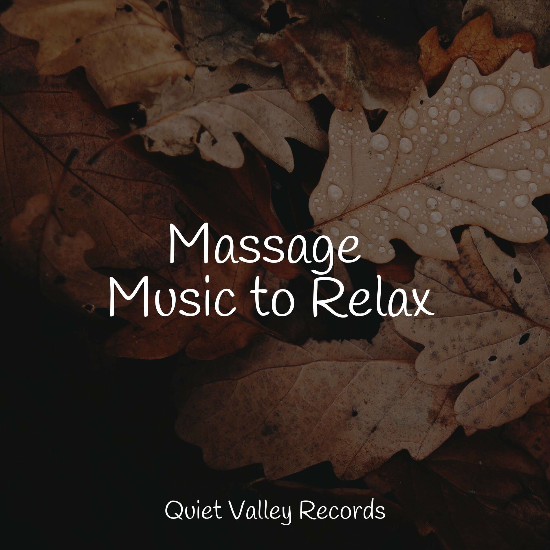Album cover of Massage Music to Relax