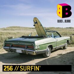 Cover of Surfin'