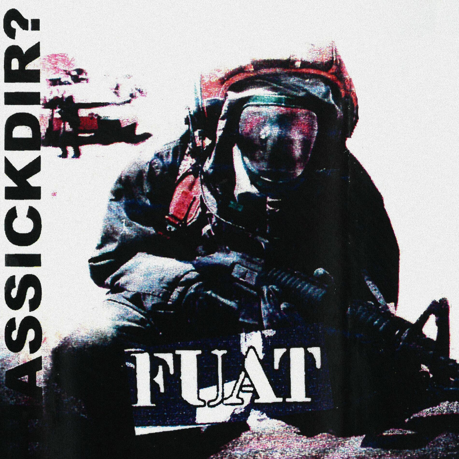 Album cover of Hassickdir?