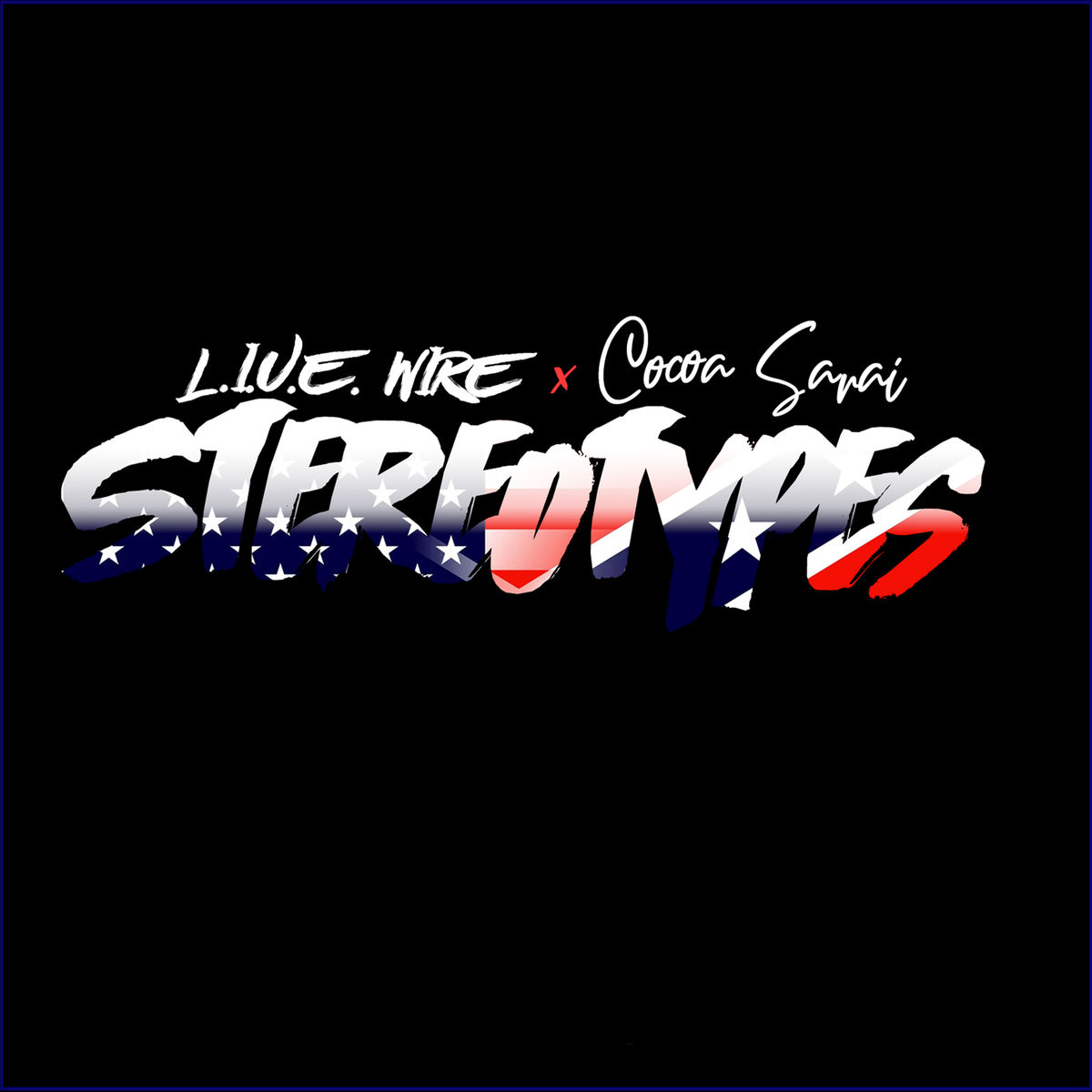 Album cover of Stereotypes