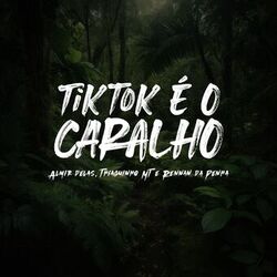 Cover of TikTok é o Caralho