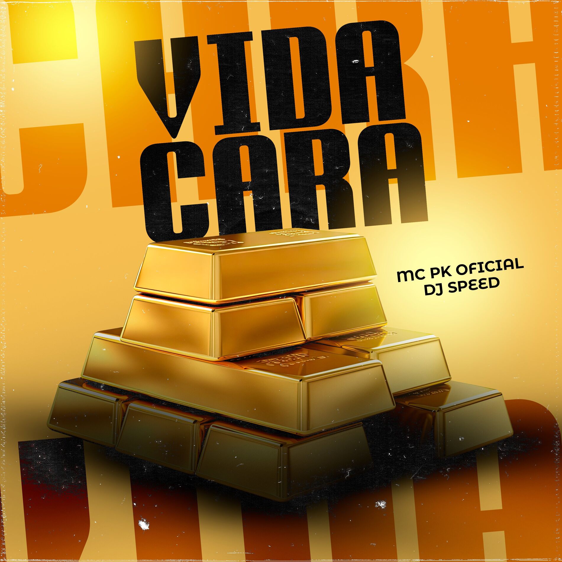 Album cover of Vida Cara
