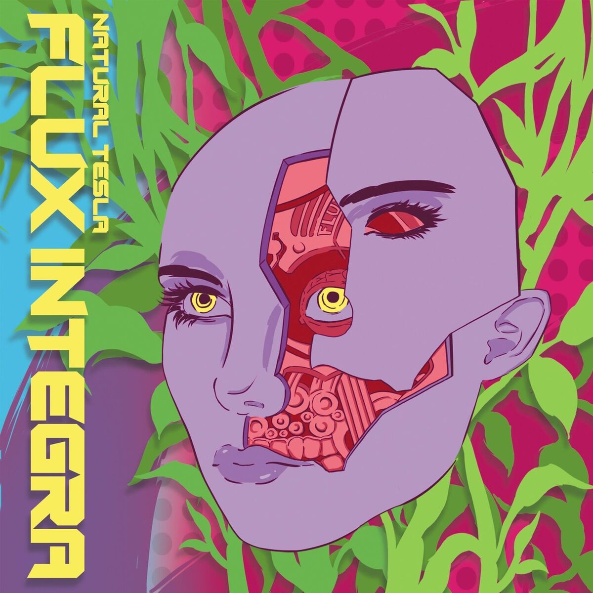 Album cover of Flux Integra