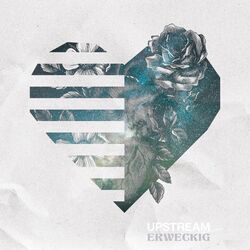Cover of Erweckig