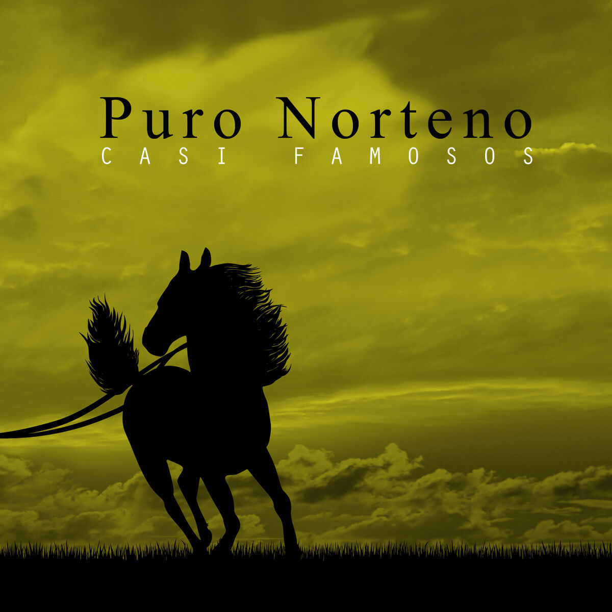 Album cover of Puro Norteno Casi Famosos: El Chuma, Que Bonito Es el Amor, Contigo Hay Amor, Amigo Corazon