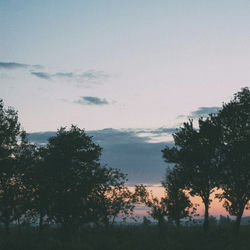 hushed miles
