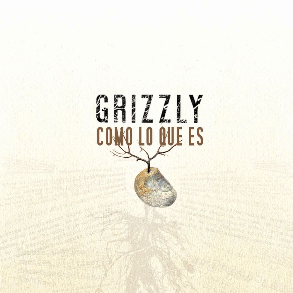 Picture of Como Lo Que Es