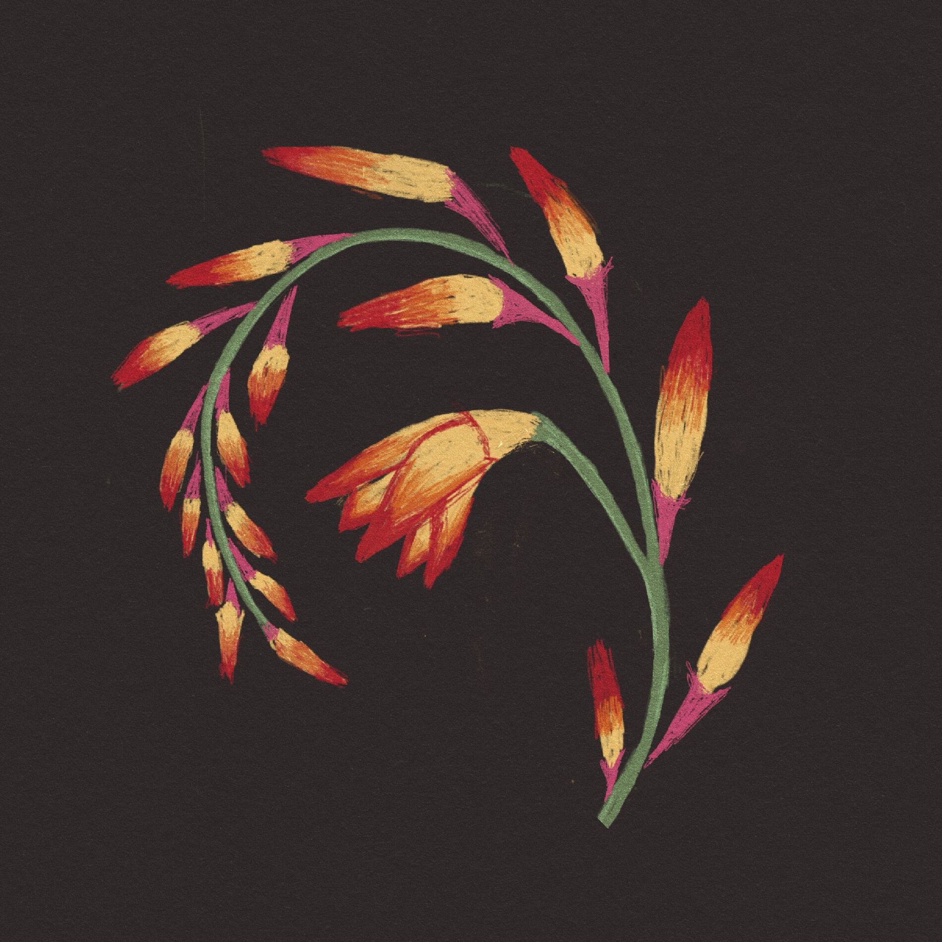 Album cover of Heat Wave