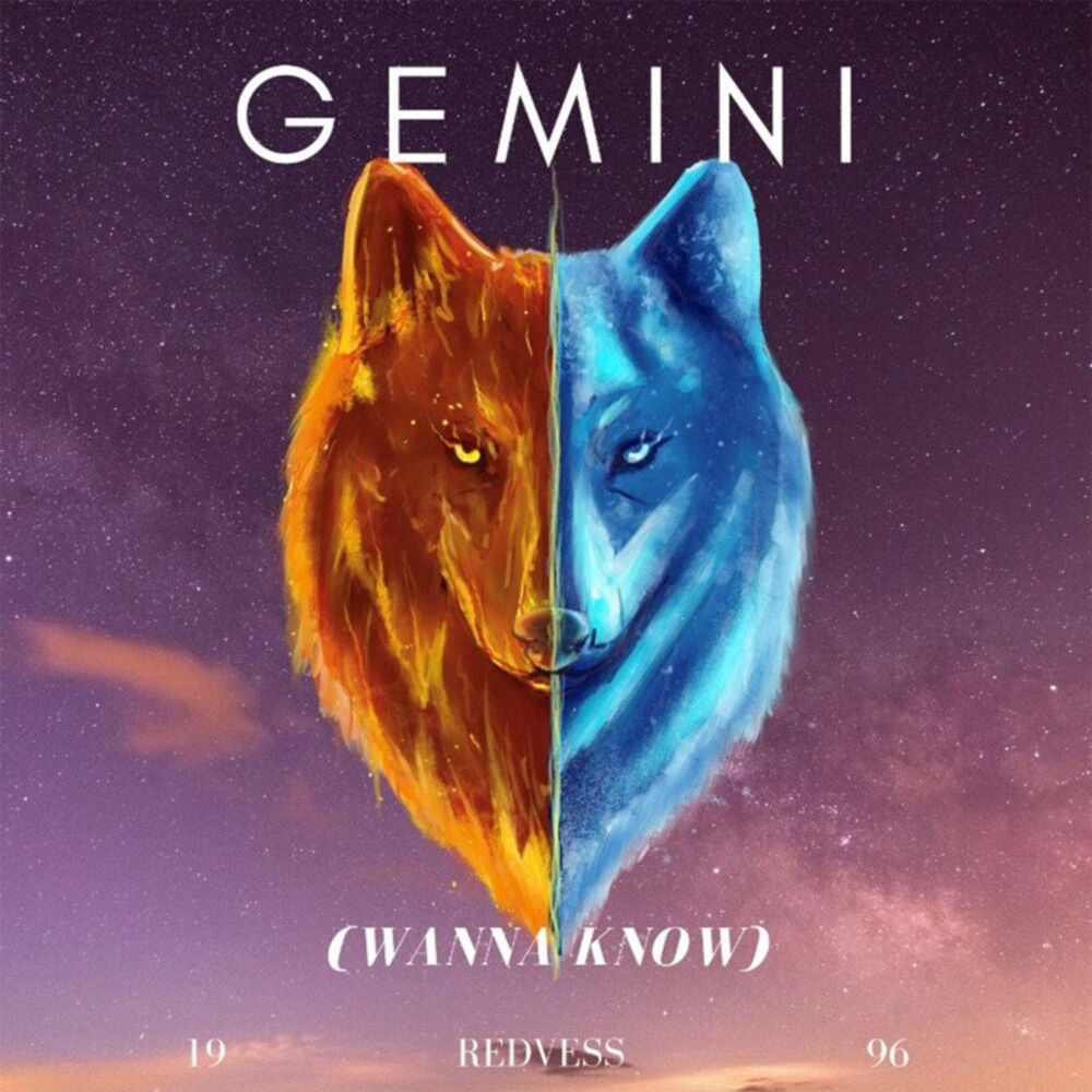 Picture of Gemini