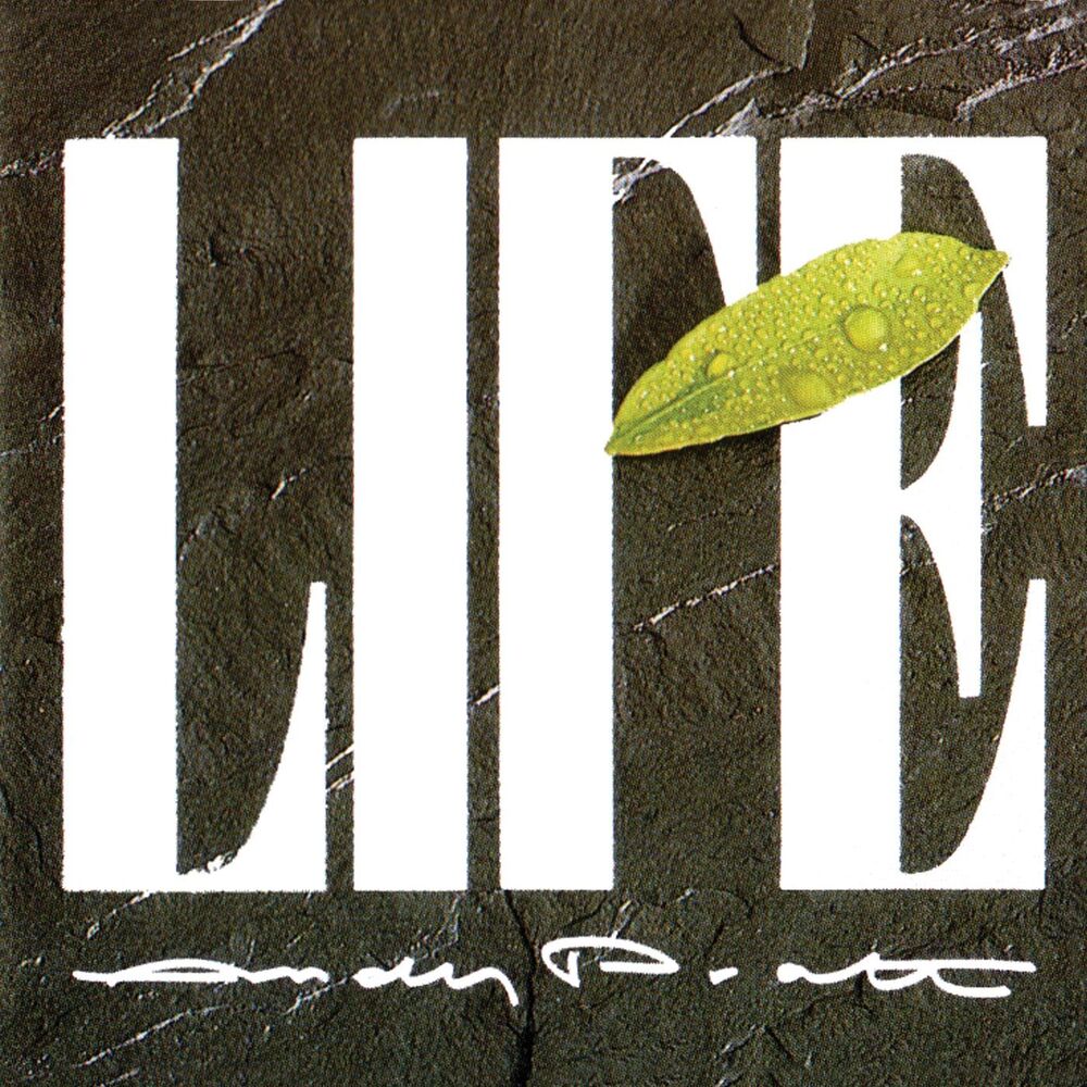 Picture of Life