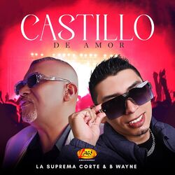 Cover of Castillo De Amor