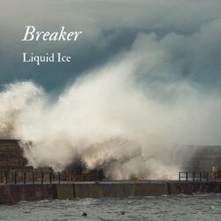 Cover of Breaker