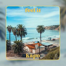 Cover of FEEL IT
