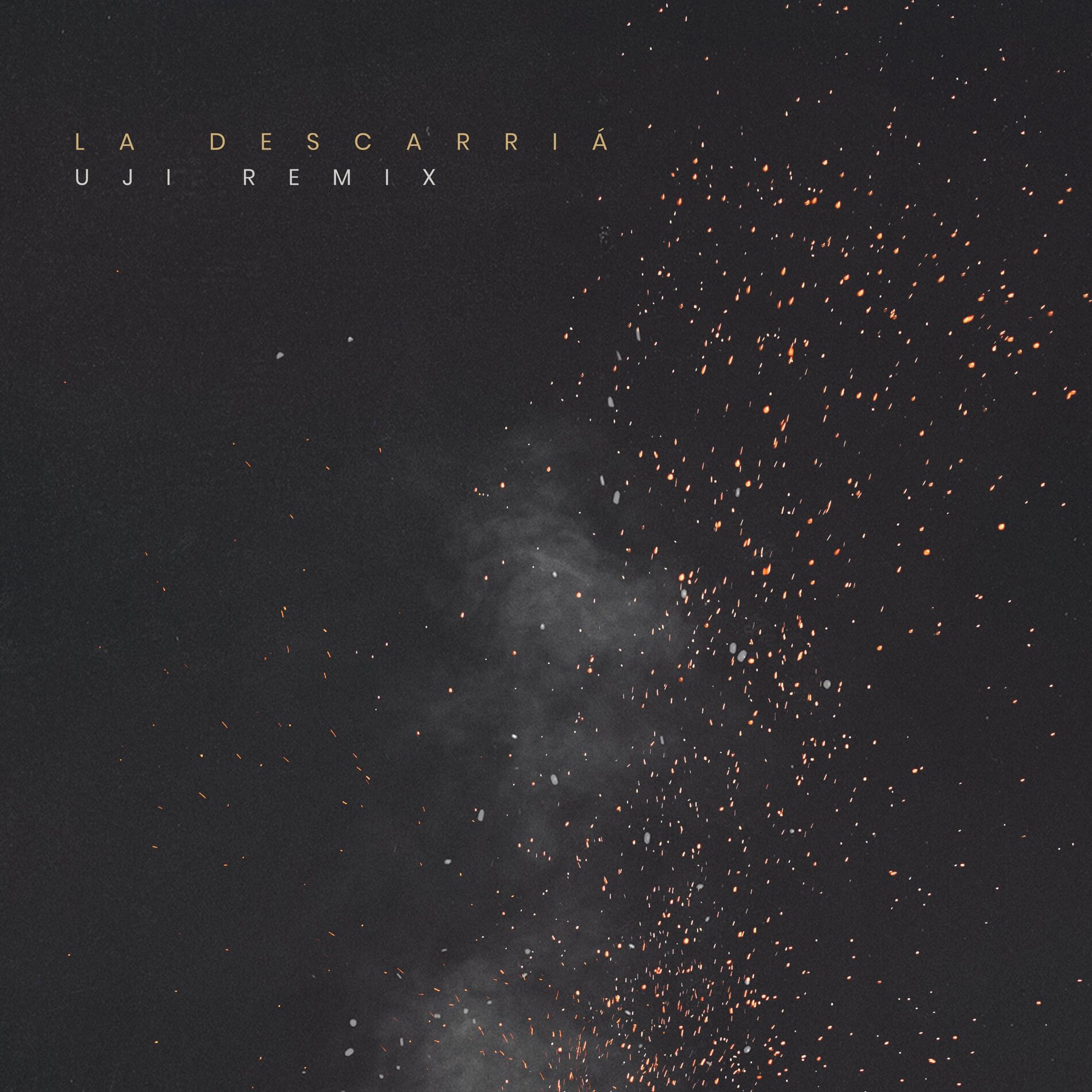 Album cover of La Descarriá