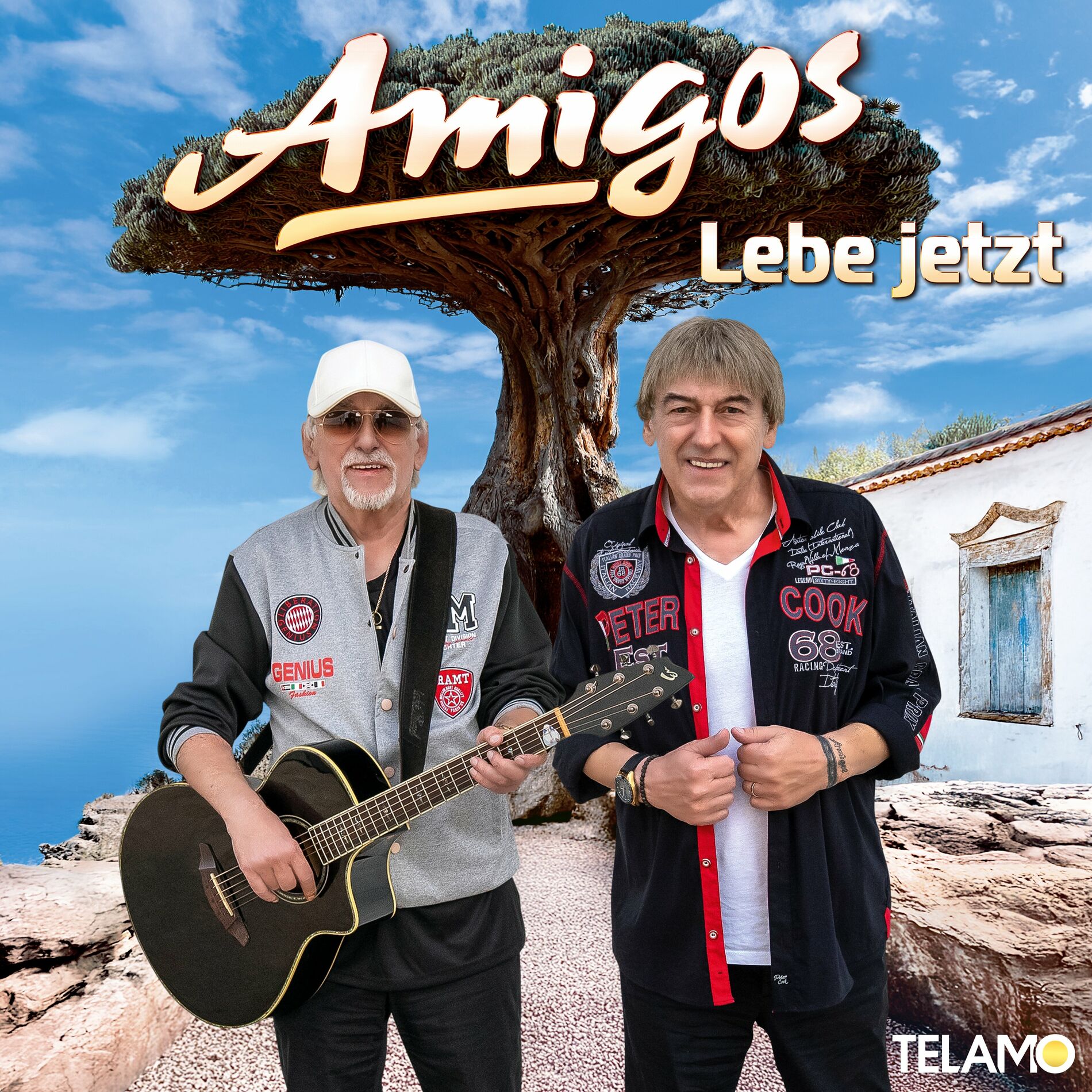 Album cover of Lebe jetzt