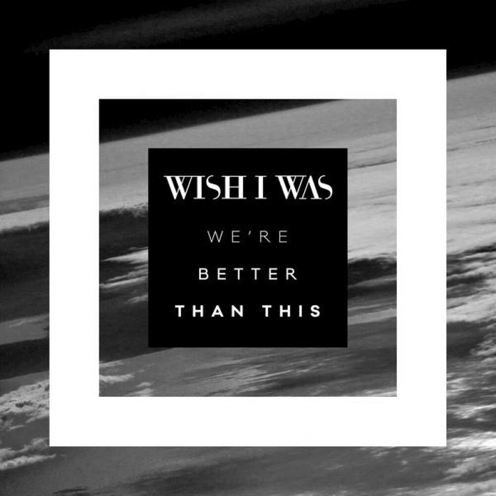 Picture of We're Better Than This