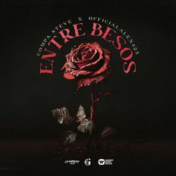 Cover of Entre Besos