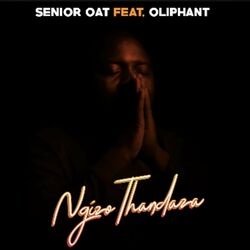 Cover of Ngizo Thandaza
