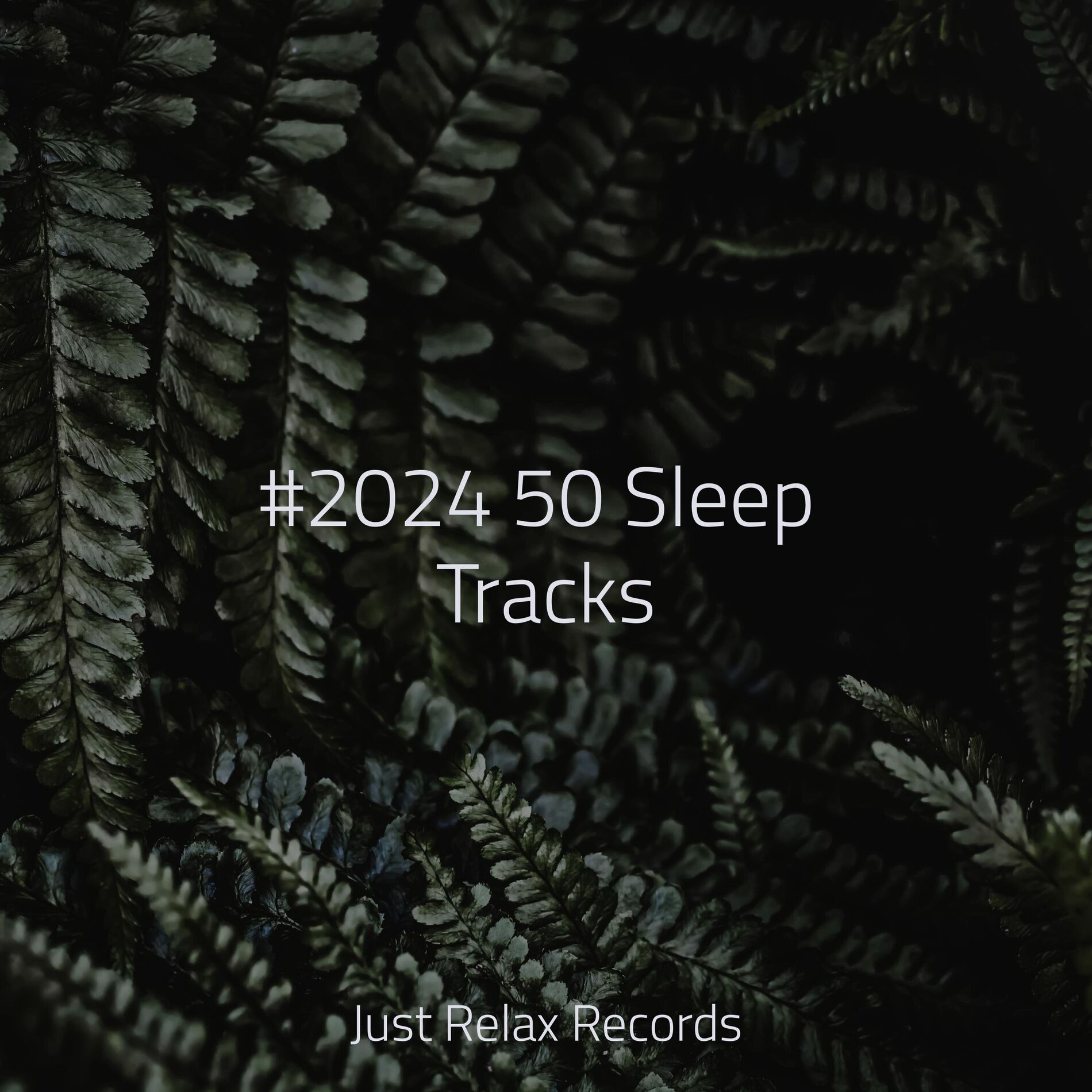 Album cover of #2024 50 Sleep Tracks