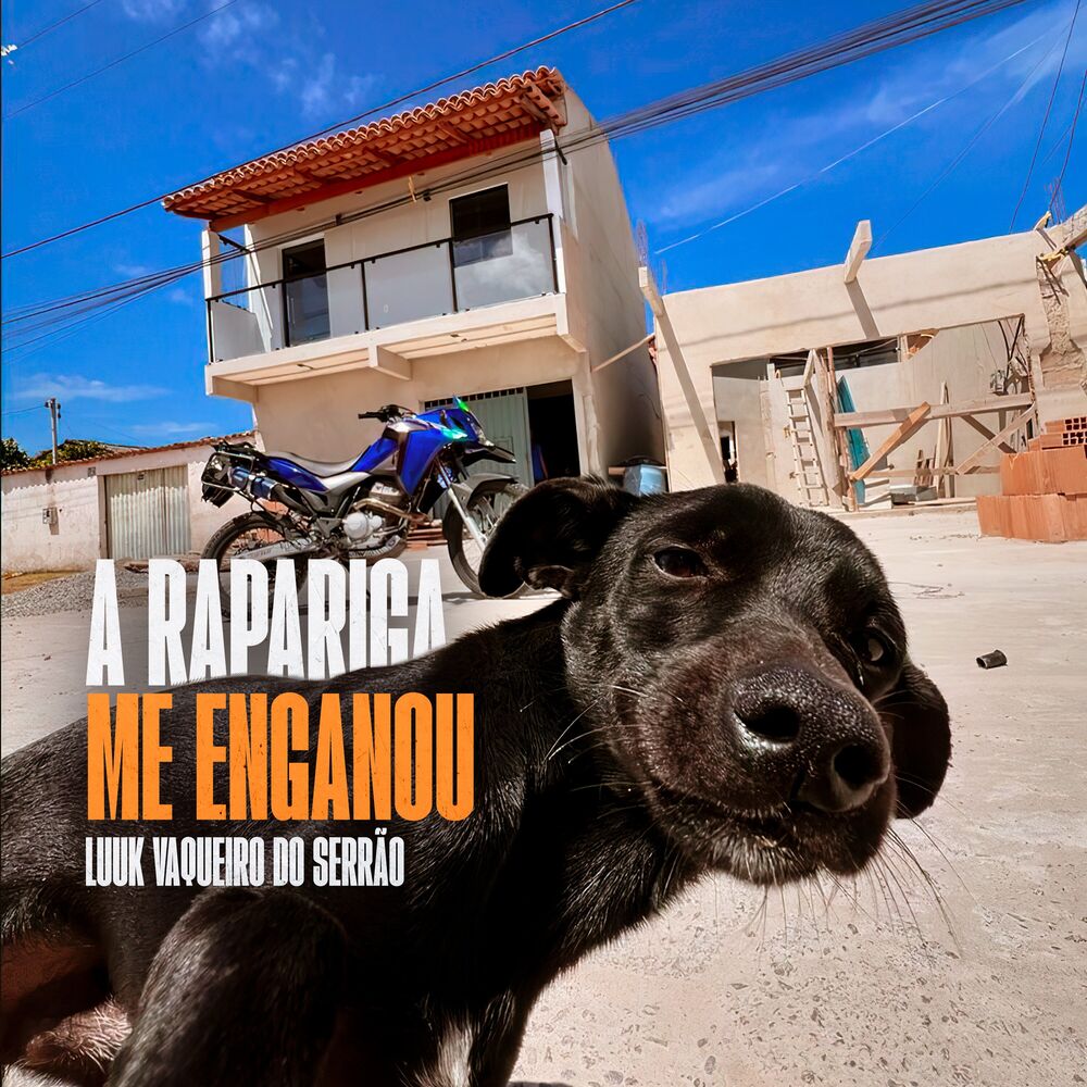 Picture of A Rapariga Me Enganou