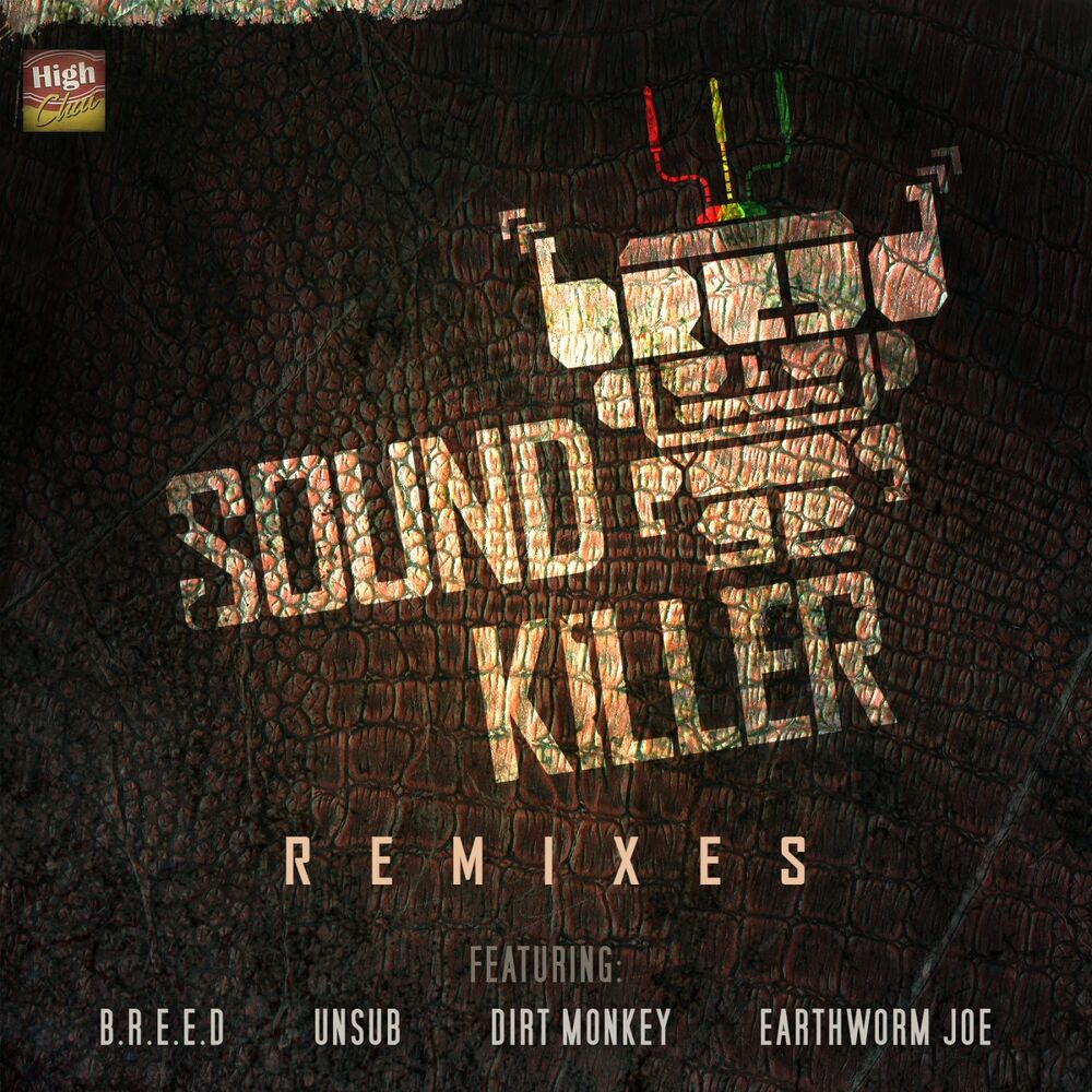 Picture of Sound Killer Remixes