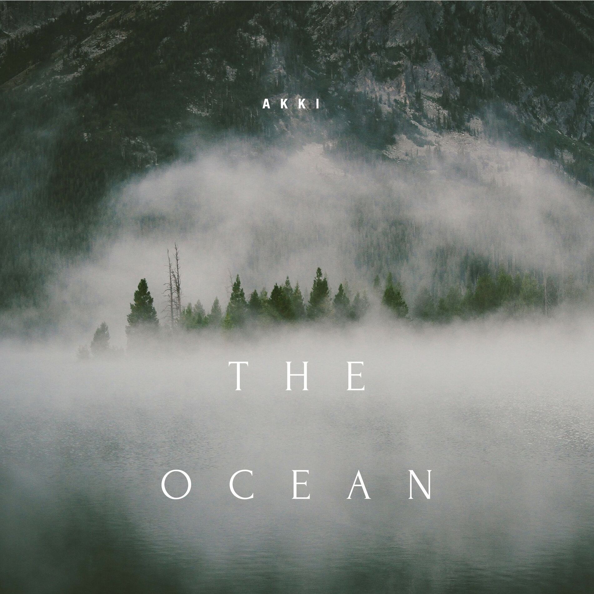 Album cover of The Ocean