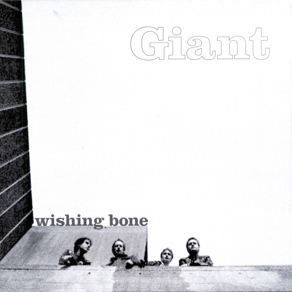 Picture of Wishing Bone EP