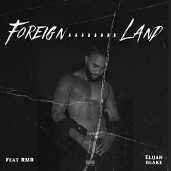 Cover of Foreign Land