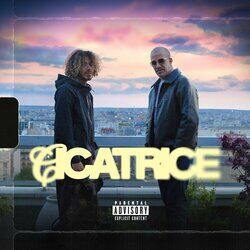 Cover of Cicatrice