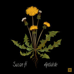 Cover of Antidote