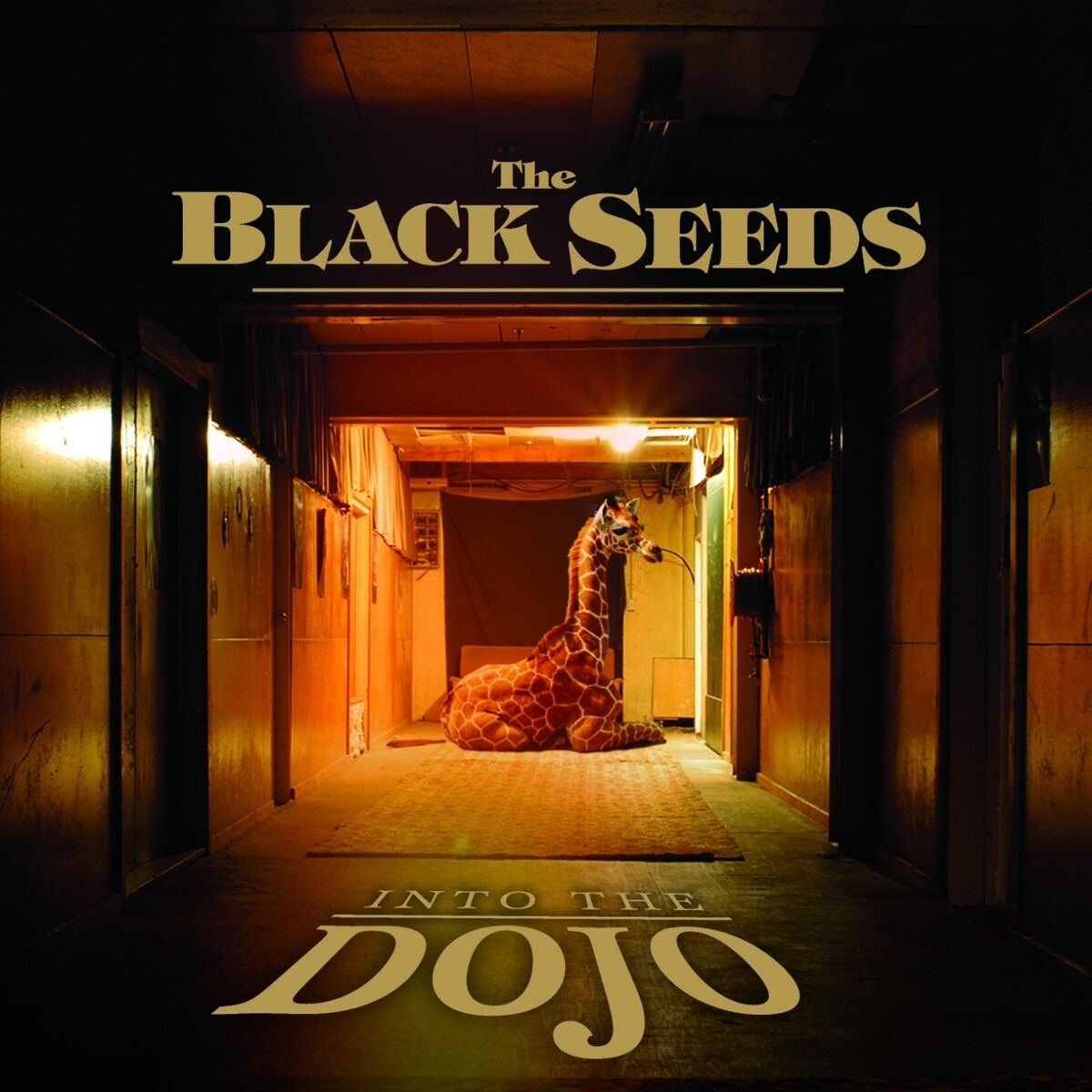 Album cover of Into the Dojo