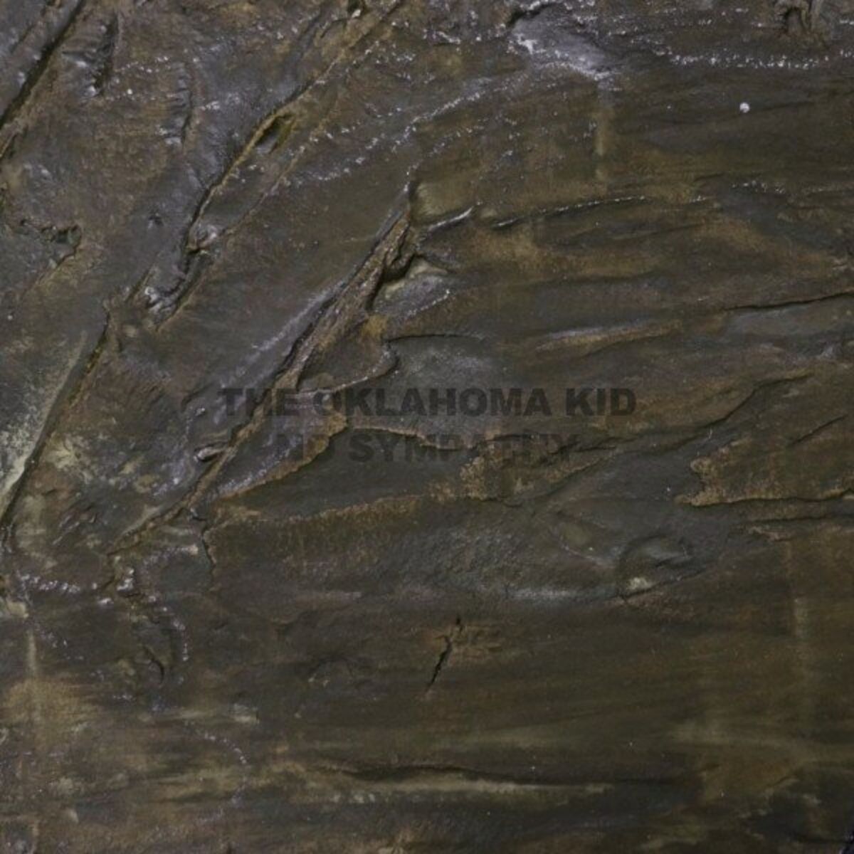 Album cover of No Sympathy